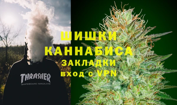 хмурый Аркадак
