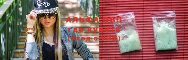 хмурый Аркадак