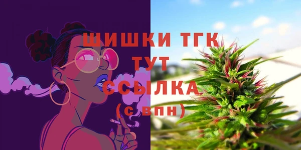 хмурый Аркадак