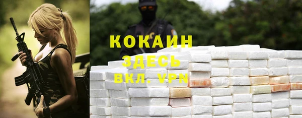 хмурый Аркадак