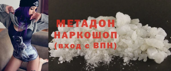 хмурый Аркадак
