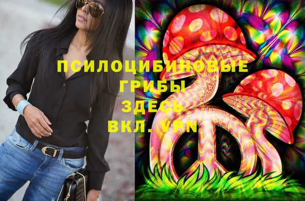 хмурый Аркадак