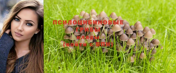 a pvp Армянск