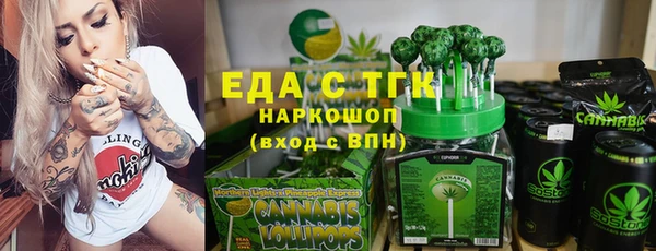 хмурый Аркадак