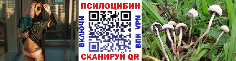 Галлюциногенные грибы Psilocybine cubensis  Мещовск 