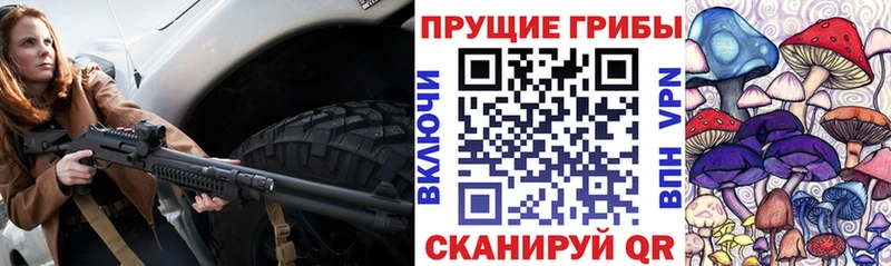 Галлюциногенные грибы мицелий Мещовск